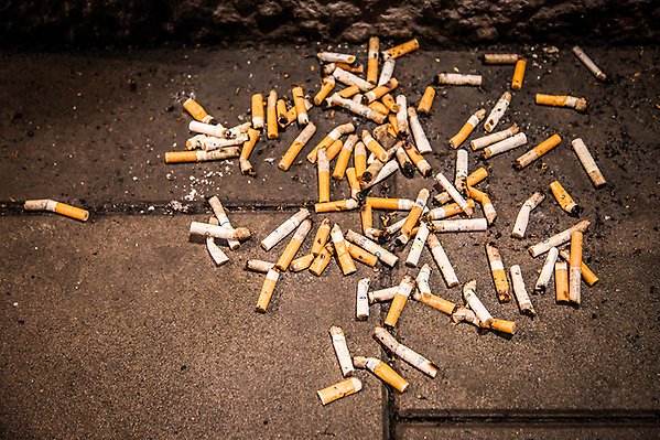 Massor av cigarettfimpar som ligger slängda på marken