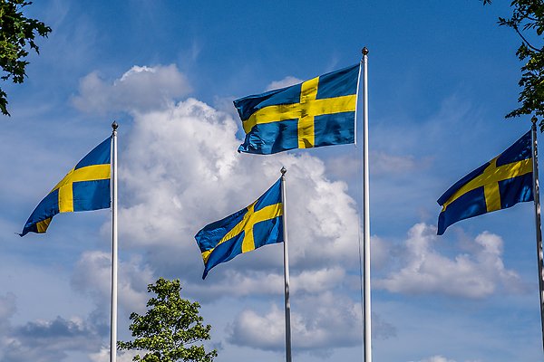 Foto på fyra stycken svenska flaggor på flaggstångar. 